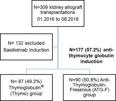 ATG-Fresenius increases the risk of red blood cell transfusion after kidney transplantation